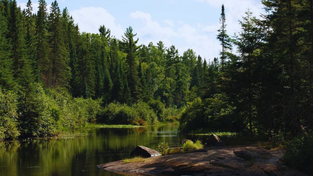 Weekends Trips and Outings - Collingwood
