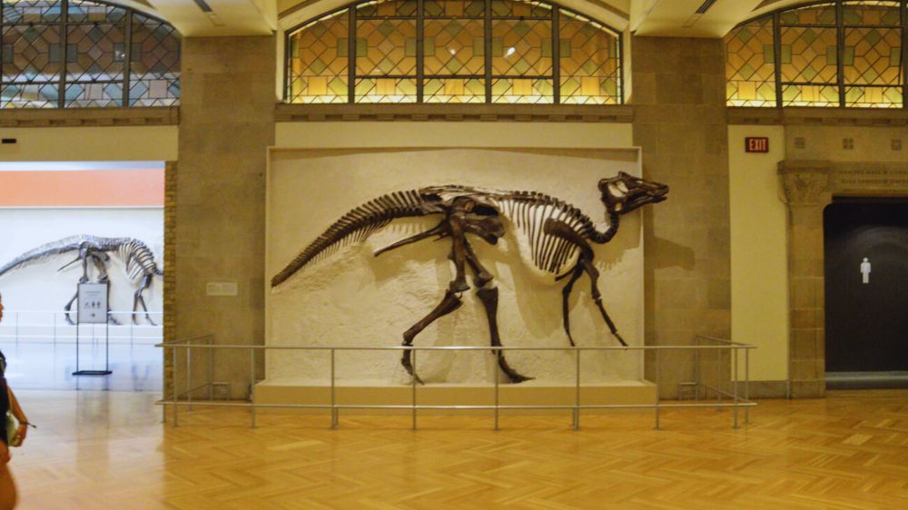 Inglês e visita ao museu